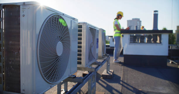 Best Air Duct Mold Removal  in Willard, UT