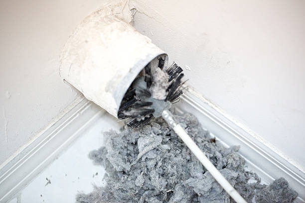Best Air Duct Cleaning Near Me  in Willard, UT